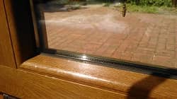 Wespen und Mücken - Insektenschutzgitter für Fenster und Tür